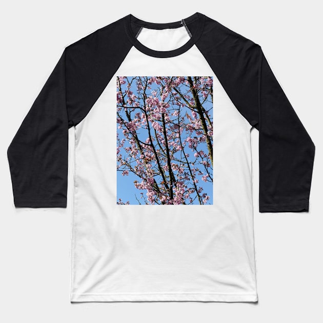 Japanese cherry blossom flowers Baseball T-Shirt by fantastic-designs